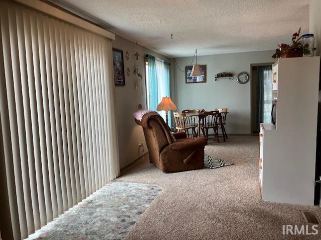 11475 North Risley Road Oaktown, IN 47561 - Photo 8 of 36 Gallery Image 8
