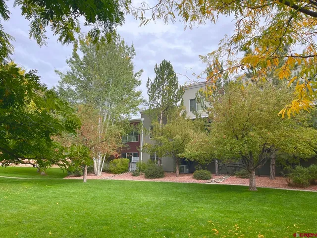 a view of a garden with an tree
