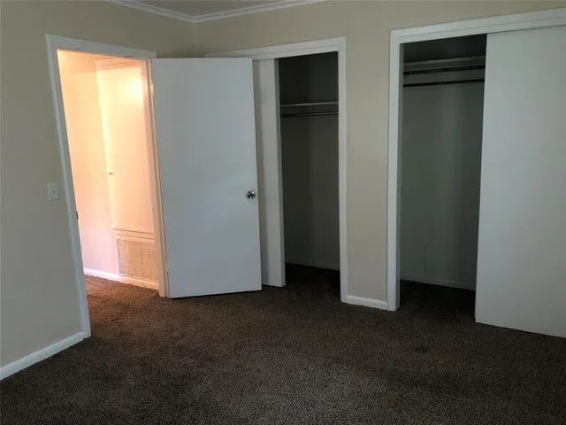 a view of a garden with trees