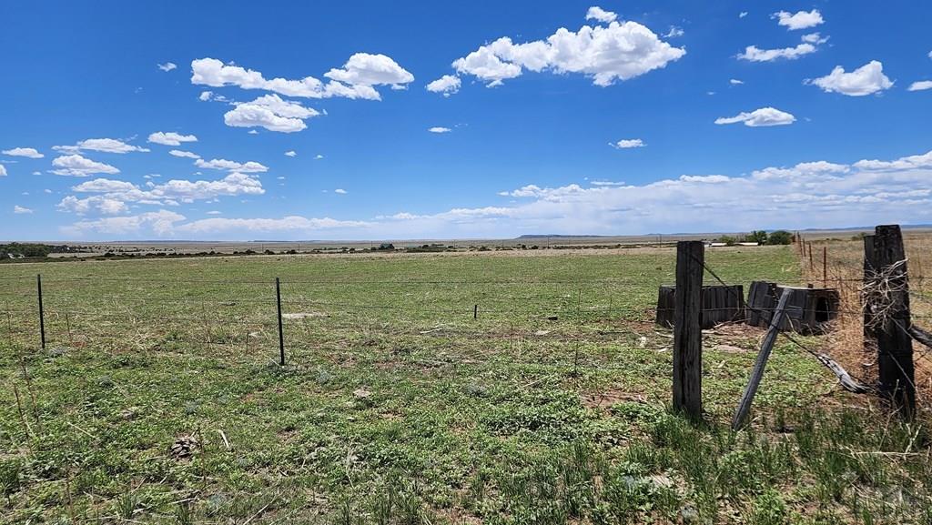 110 County Road 110 Rye, CO 81069 - Photo 32 of 37