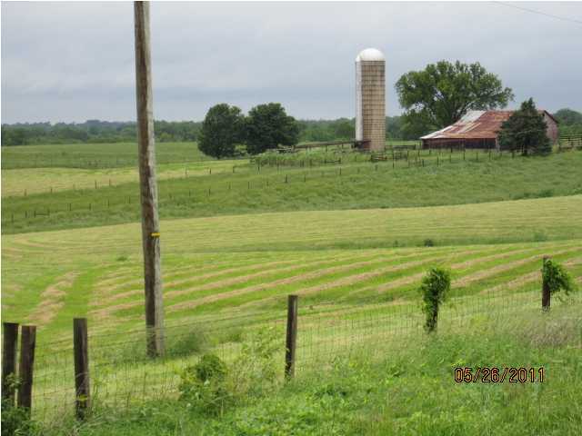 Primary Photo