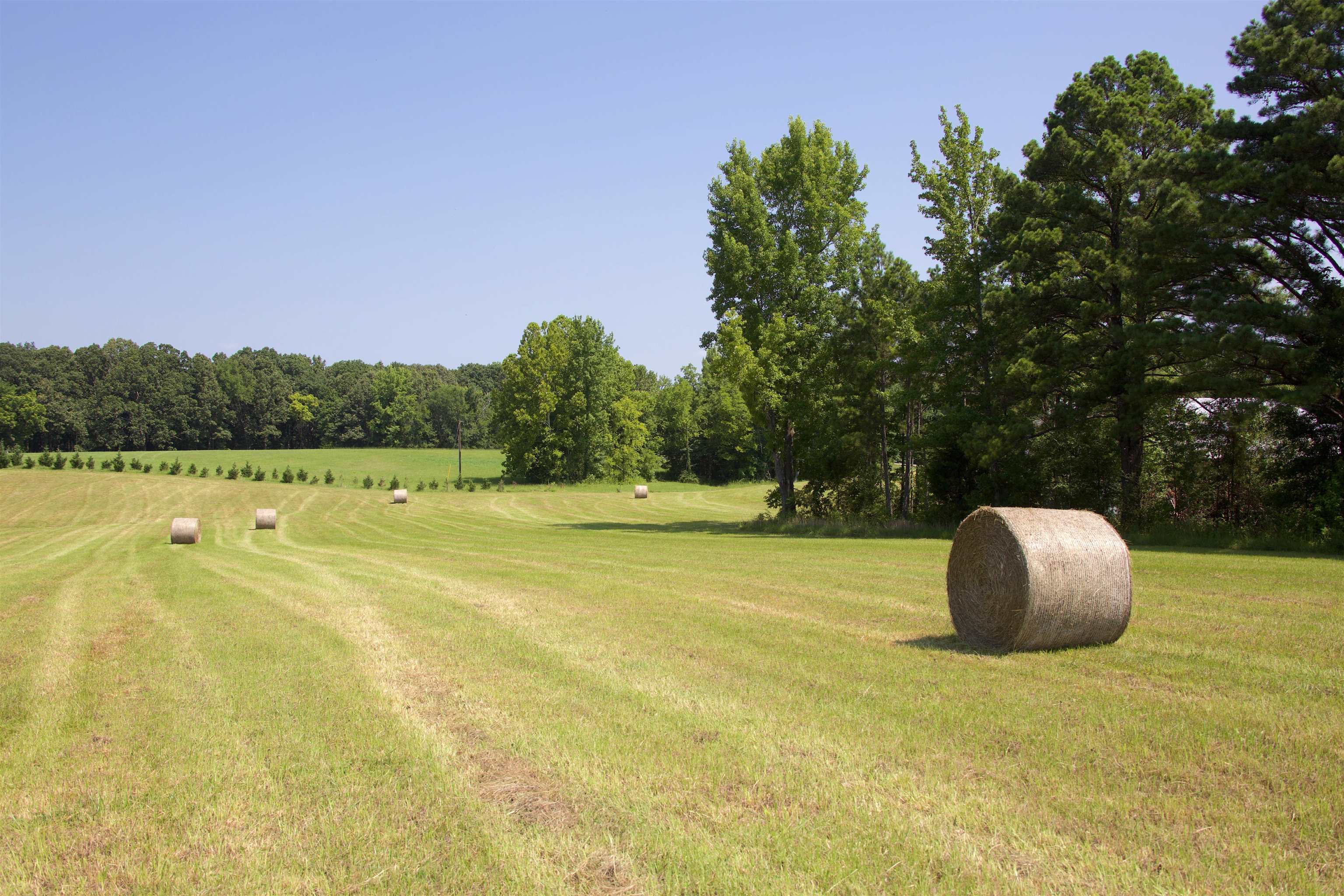 2195 South Slayden Road Lamar, MS 38642 - Photo 12 of 25