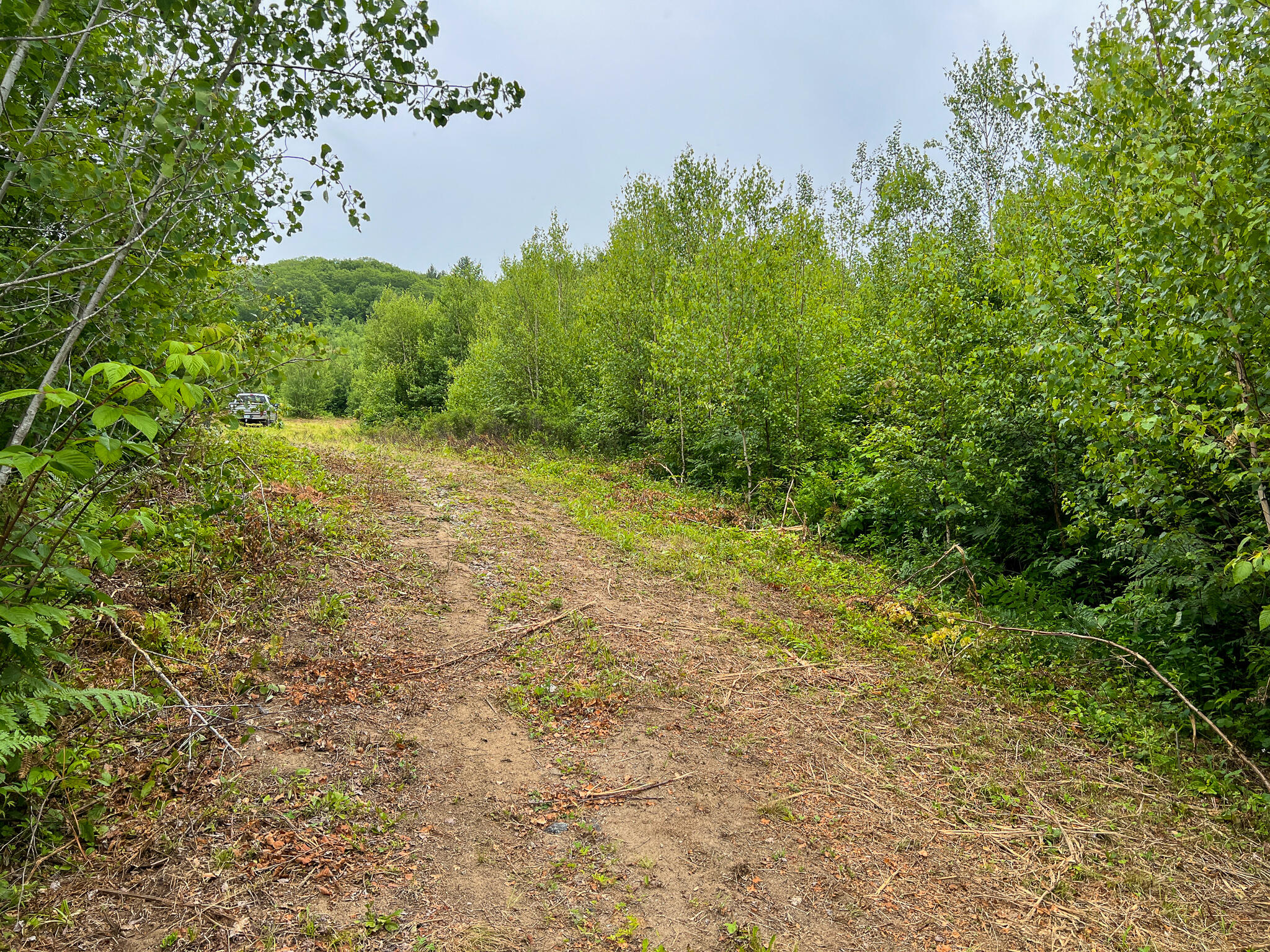 Lot 72-1 Hatstat Road Bethel, ME 04217 - Photo 16 of 18 IMG_7900