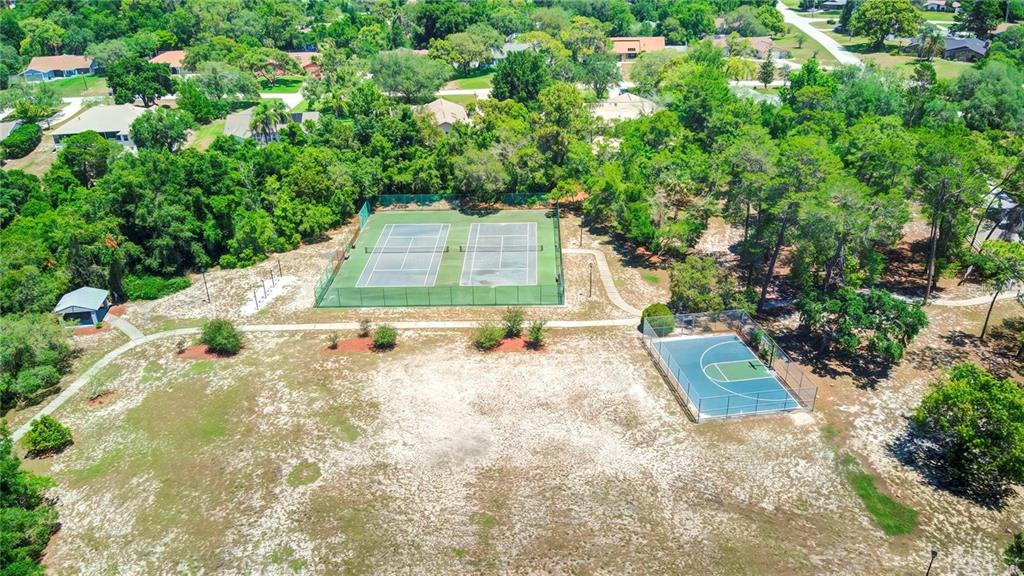 6067 Patricia Place Weeki Wachee, FL 34607 - Photo 8 of 21