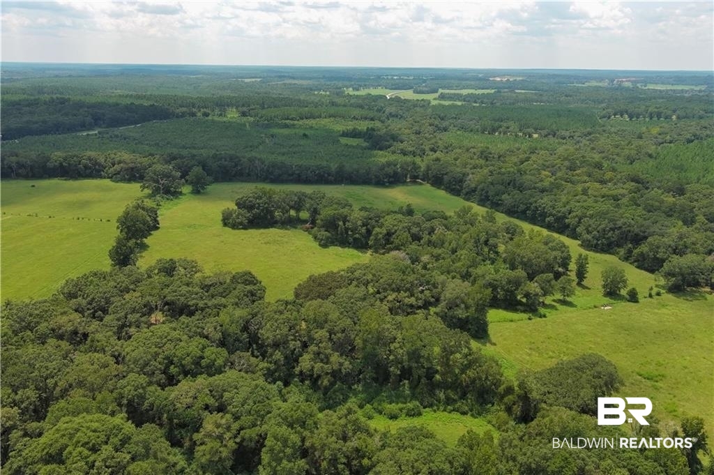 0 Circle R Farm Drive Florala, AL 36442 - Photo 6 of 25