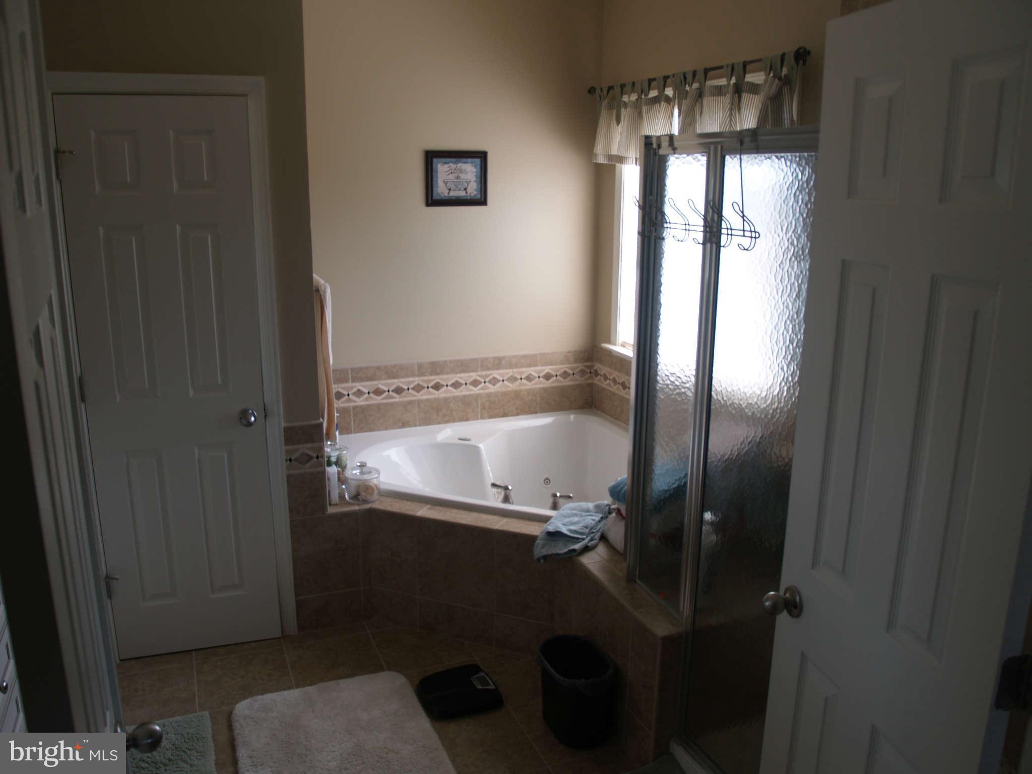 413 Woodrow Road Winchester, VA 22602 - Photo 21 of 25 Bath (Master)