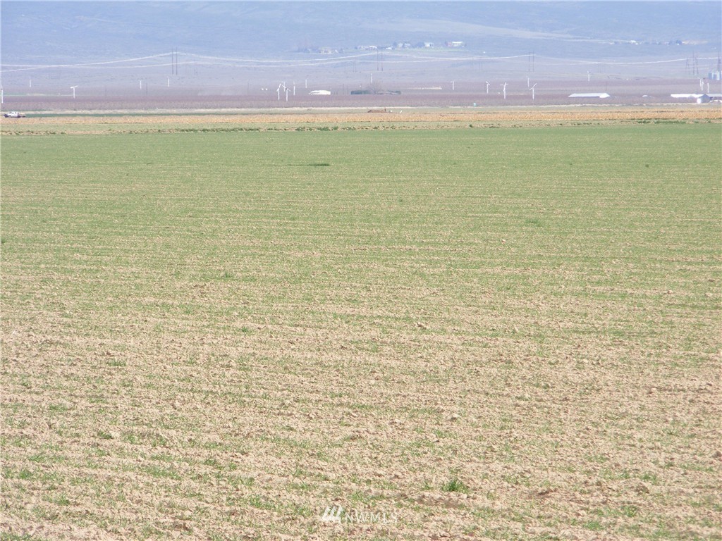 11617 Rd R Northwest Quincy, WA 98848 - Photo 1 of 5