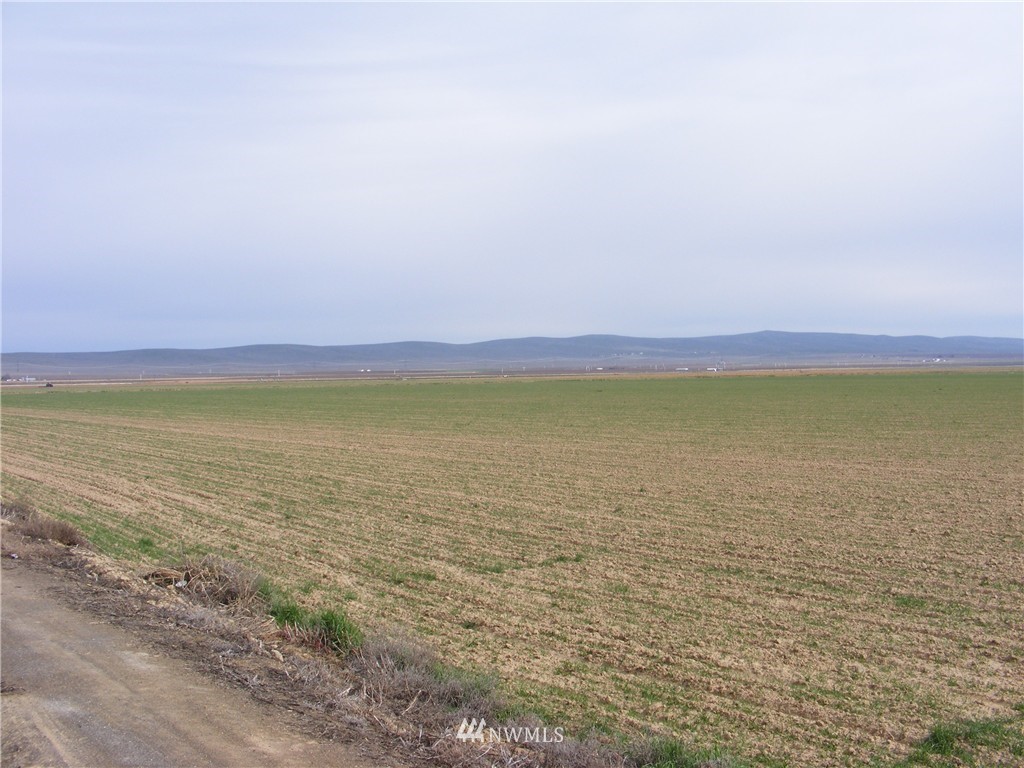 11617 Rd R Northwest Quincy, WA 98848 - Photo 2 of 5