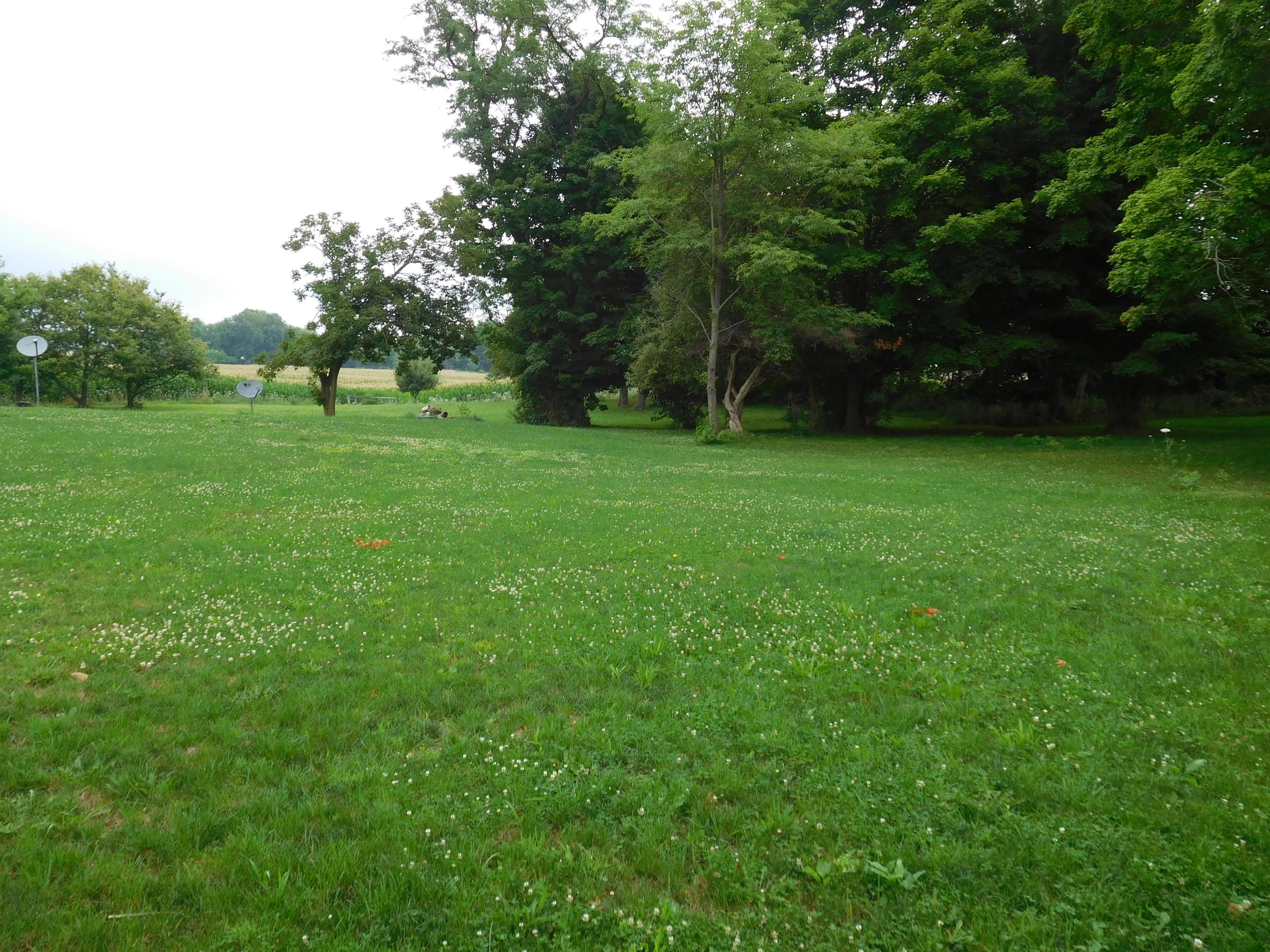 4635 Mounts Road Northwest Alexandria, OH 43001 - Photo 33 of 42 Gallery Image 33