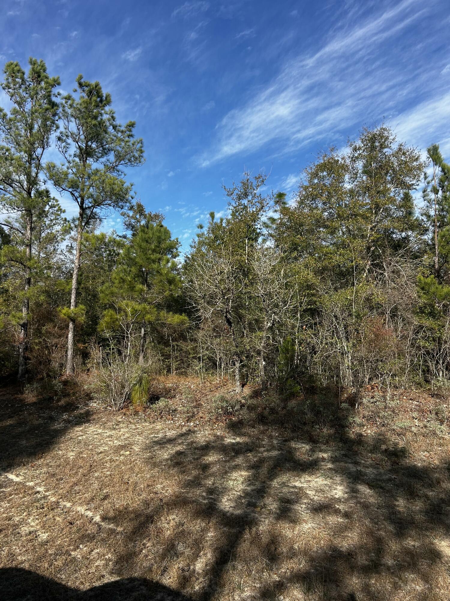 Tbd Valiant Drive Chipley, FL 32428 - Photo 1 of 4 a view of a yard with a tree