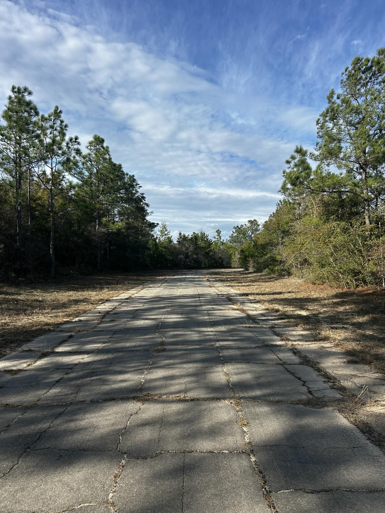 Tbd Valiant Drive Chipley, FL 32428 - Photo 3 of 4