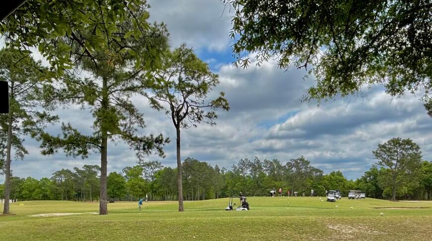 Tbd Valiant Drive Chipley, FL 32428 - Photo 4 of 4 a view of a park with large trees
