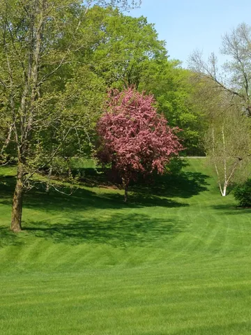 $490,000 | 16173 County Road 51, St. Joseph, MN 56374