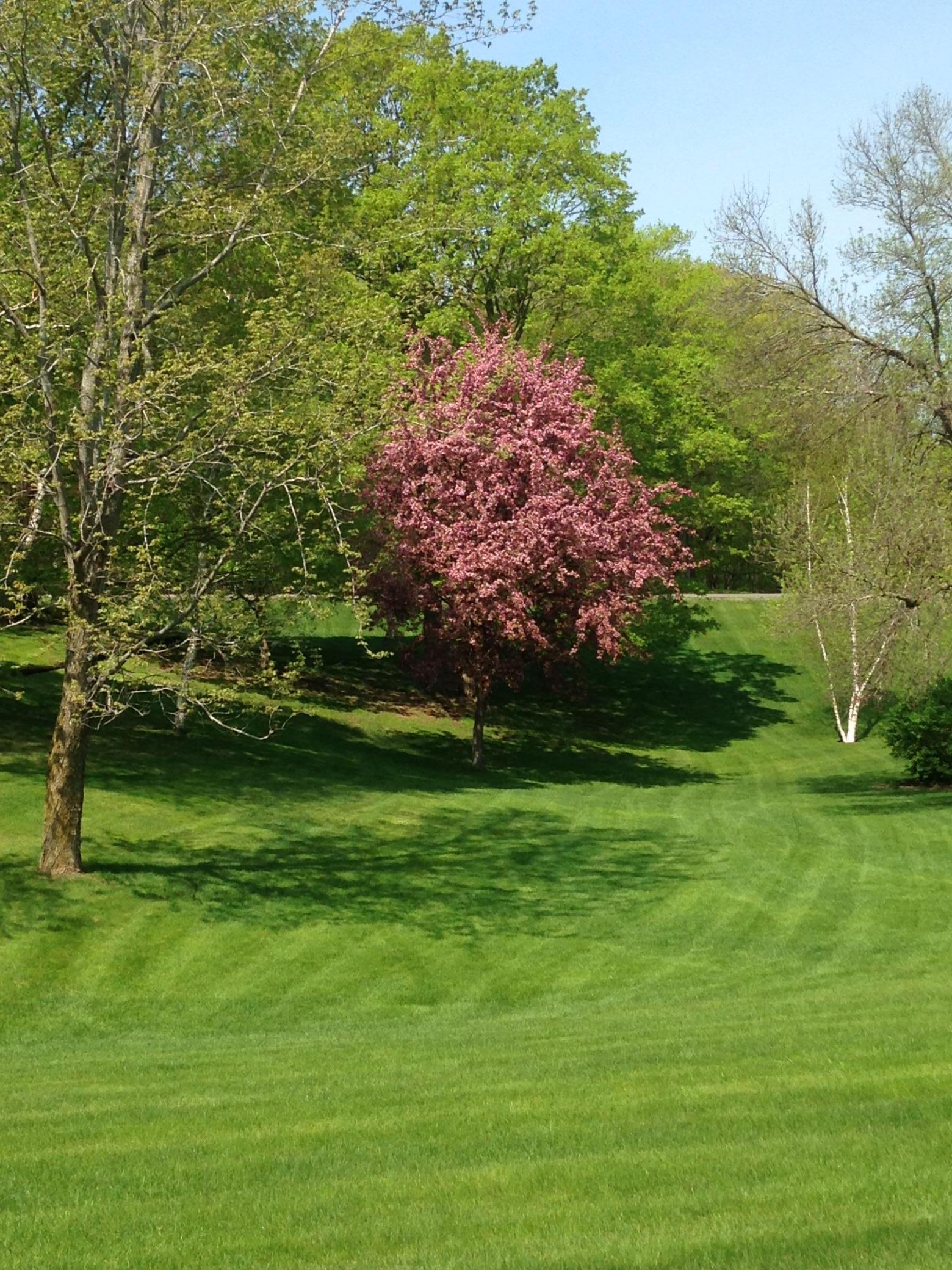 16173 County Road 51 St. Joseph, MN 56374 - Photo 56 of 58