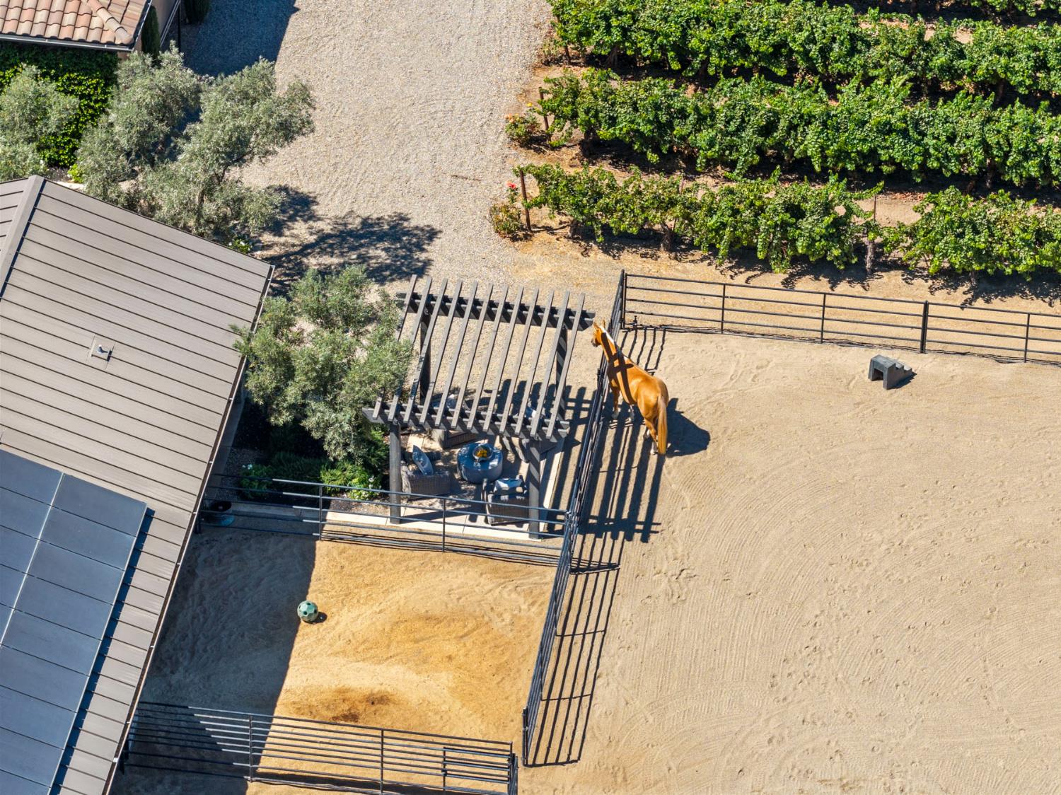 15694 Alpine Road Lodi, CA 95240 - Photo 90 of 98 Gallery Image 90