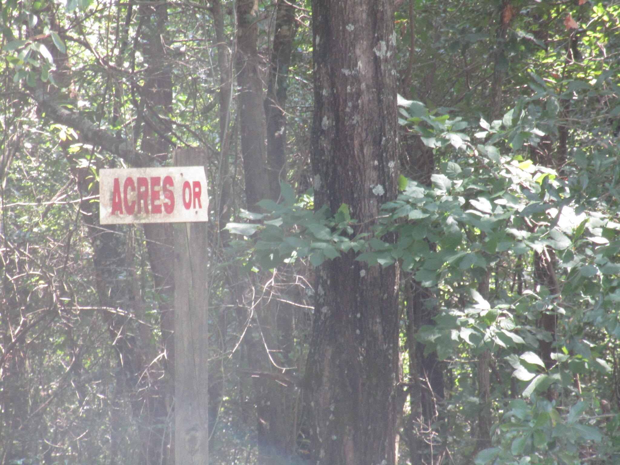 1436 Hephzibah - McBean Road Hephzibah, GA 30815 - Photo 10 of 11 FRONT