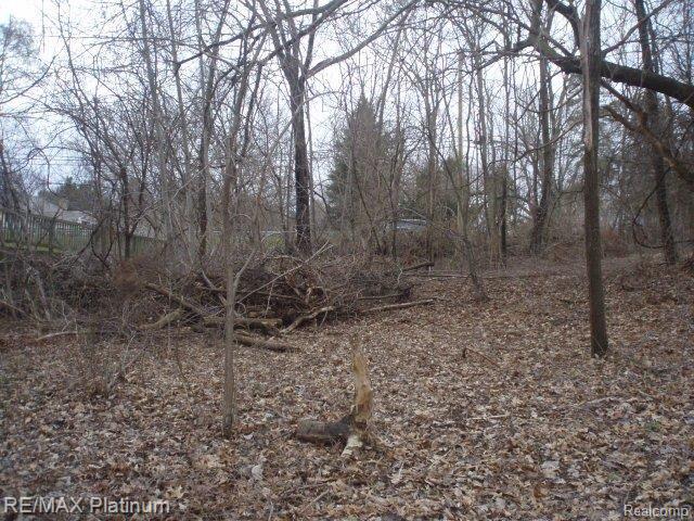 Vl Benstein Road Commerce Township, MI 48382 - Photo 2 of 14 P4160009