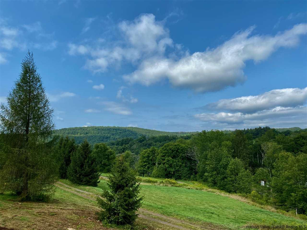 212 Holt Road Andes, NY 13731 - Photo 34 of 34 Photo 34