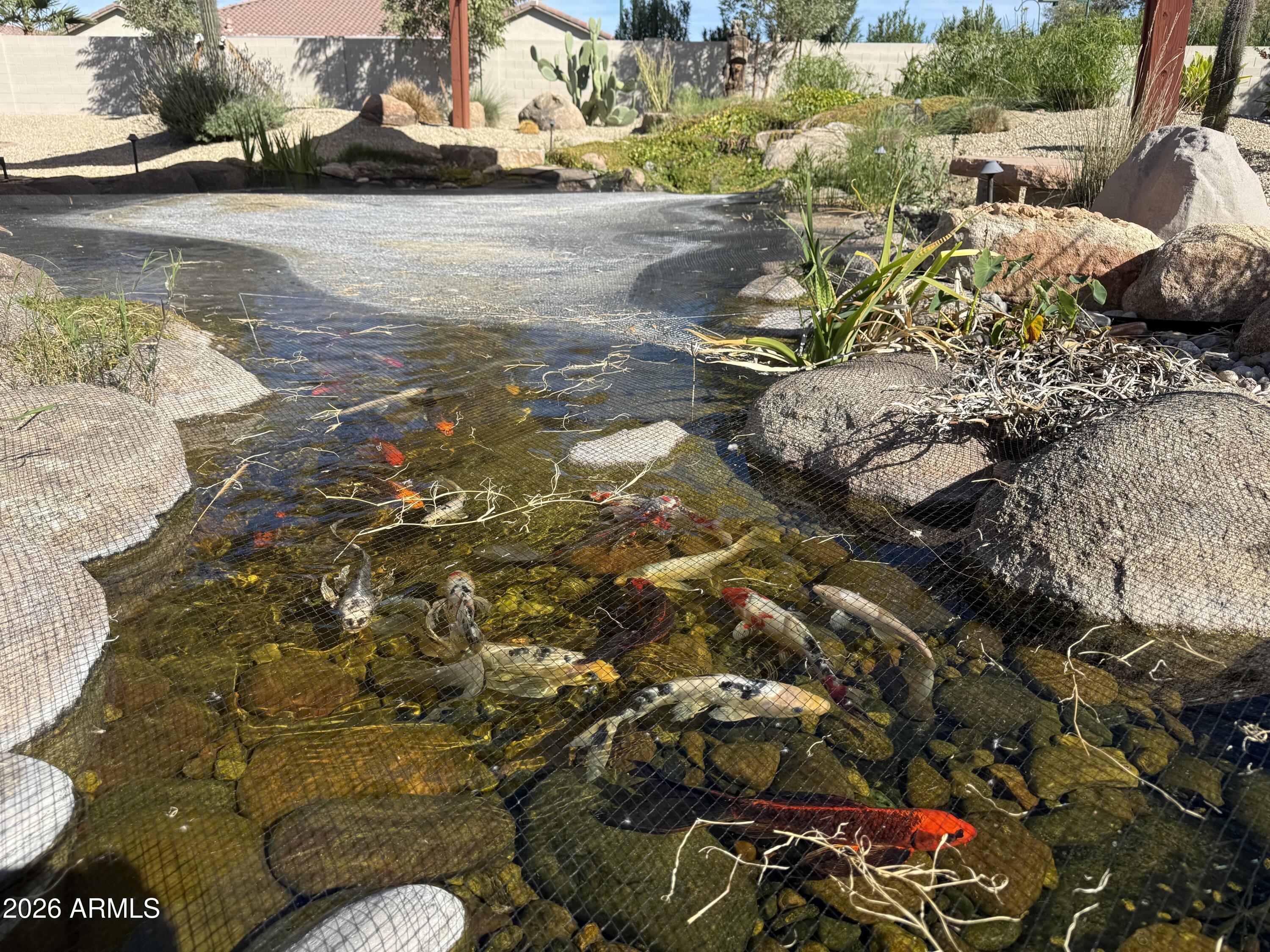 14554 West Desert Cove Road Surprise, AZ 85379 - Photo 47 of 76 IMG_1309