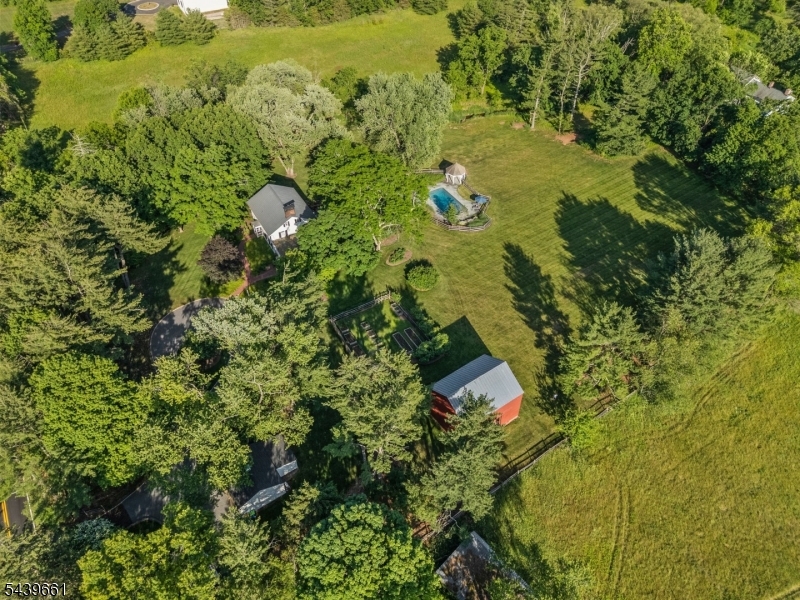 29 Bedens Brook Road Skillman, NJ 08558 - Photo 41 of 50 a view of a yard with plants