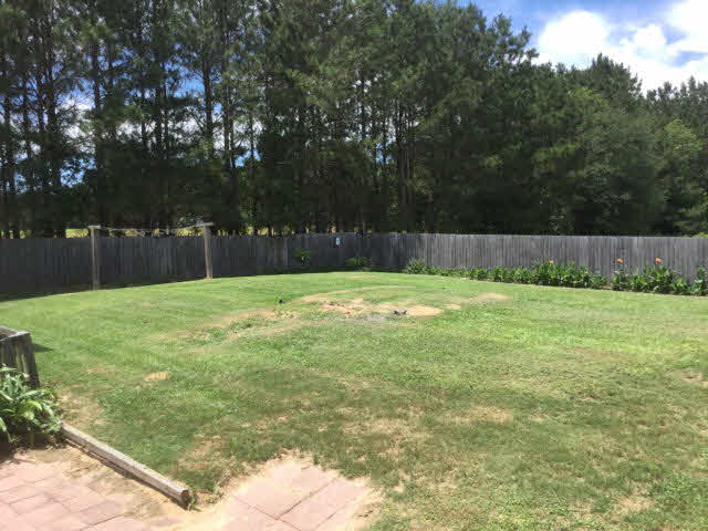 21911 Hubbard Road Robertsdale, AL 36567 - Photo 9 of 17 back yard