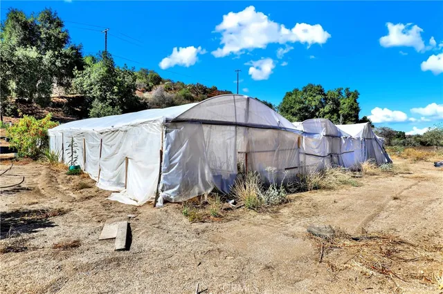 a view of a backyard with plants and patio