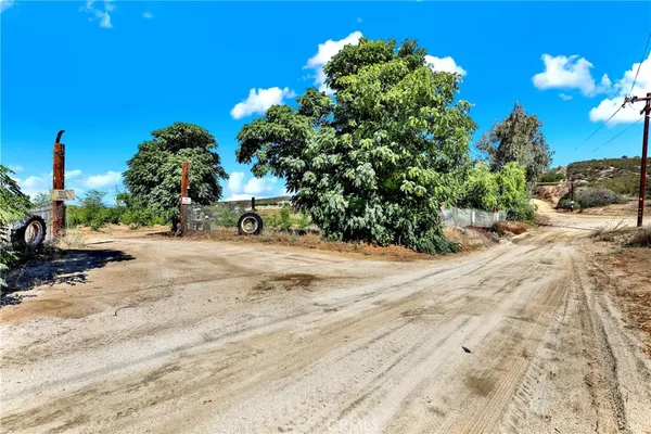 a view of a street with a tree