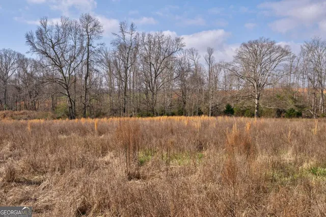 a view of yard covered with snow