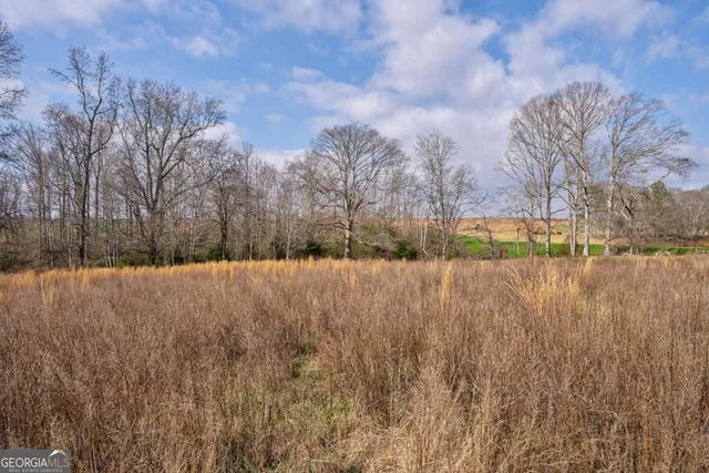 a view of yard covered with snow in front of house