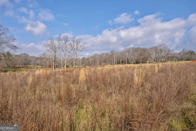 a view of lake with lots of trees