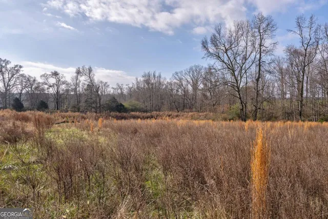 a view of a house with a yard and large trees