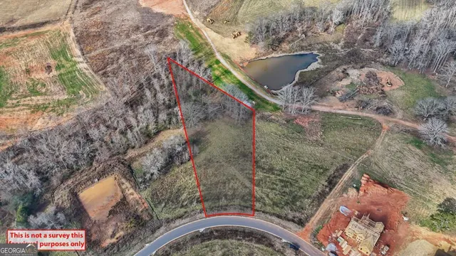 a view of a yard with plants