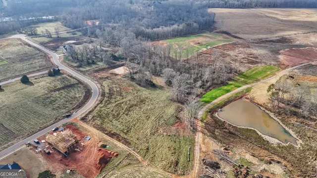 a view of a yard with large trees