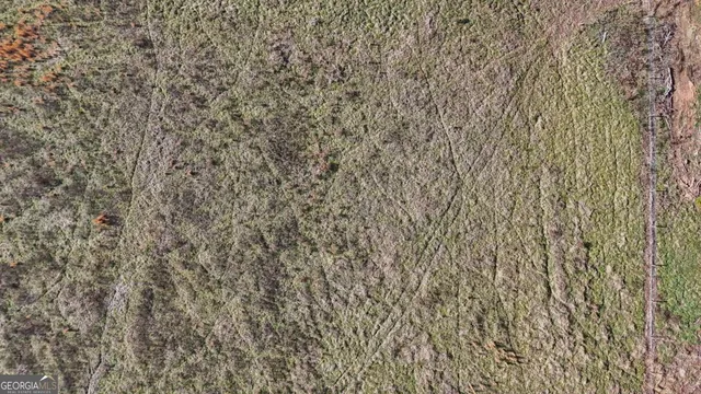 a view of outdoor space with deck and yard