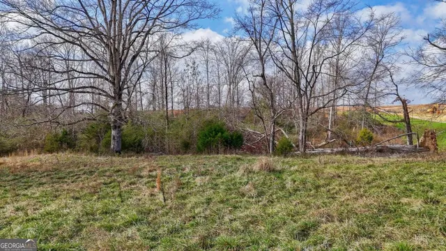 a view of a yard with a tree