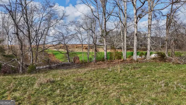 a view of a field with trees
