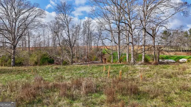 a view of a yard with wooden fence