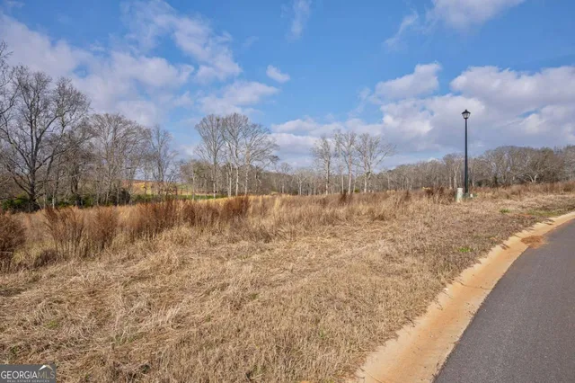 a view of a lake with a yard