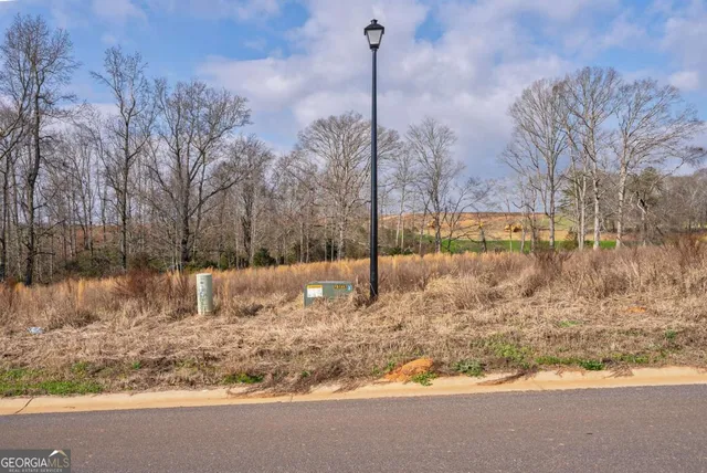 a view of a yard with a tree
