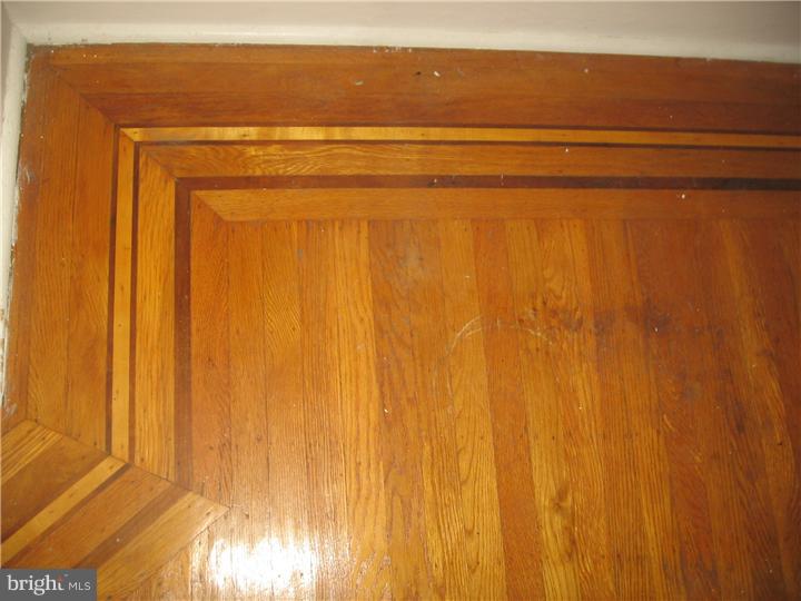 213 Avon Road Upper Darby, PA 19082 - Photo 3 of 20