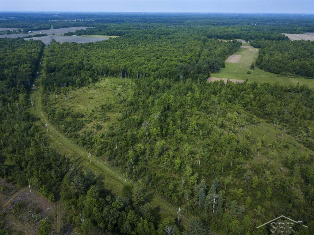 66-acres North Geneva Road Coleman, MI 48618 - Photo 7 of 44 50112001-6.JPG
