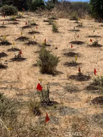 $199,000 | 0 Hollister Avenue, San Francisco, CA 94124