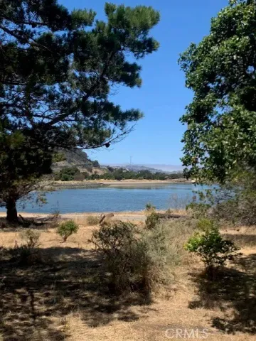 a view of yard with mountain and trees in the background