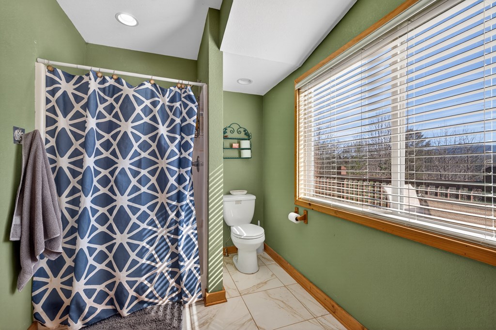 223 Redbud Road Hiawassee, GA 30546 - Photo 21 of 46