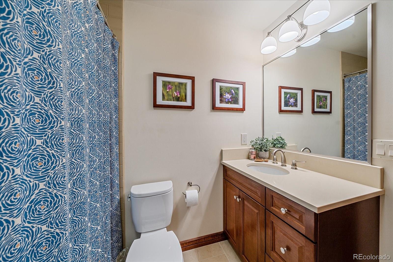 4874 South Pine Road Evergreen, CO 80439 - Photo 18 of 40 Gallery Image 18