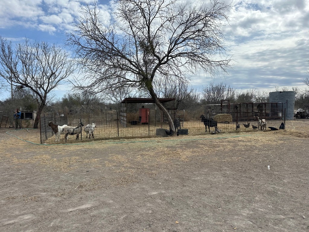 715 Ranch Road 1572 Street Quemado, TX 78877 - Photo 5 of 10