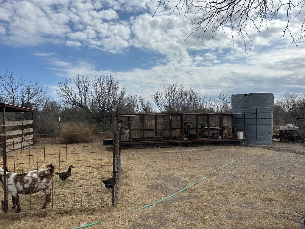 715 Ranch Road 1572 Street Quemado, TX 78877 - Photo 7 of 10