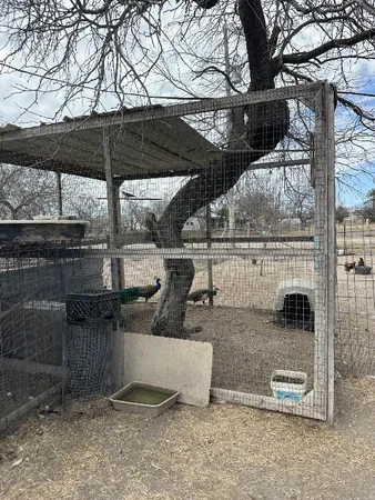 $250,000 | 715 Ranch Road 1572 Street, Quemado, TX 78877