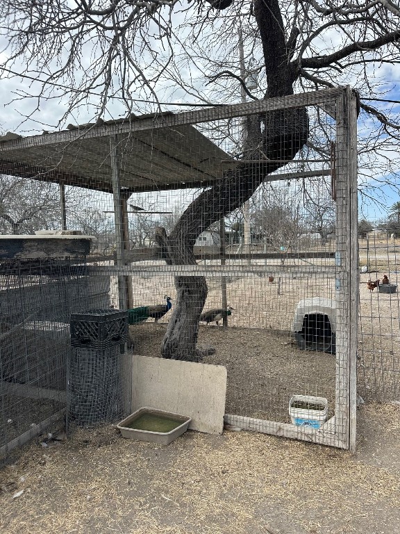 715 Ranch Road 1572 Street Quemado, TX 78877 - Photo 8 of 10