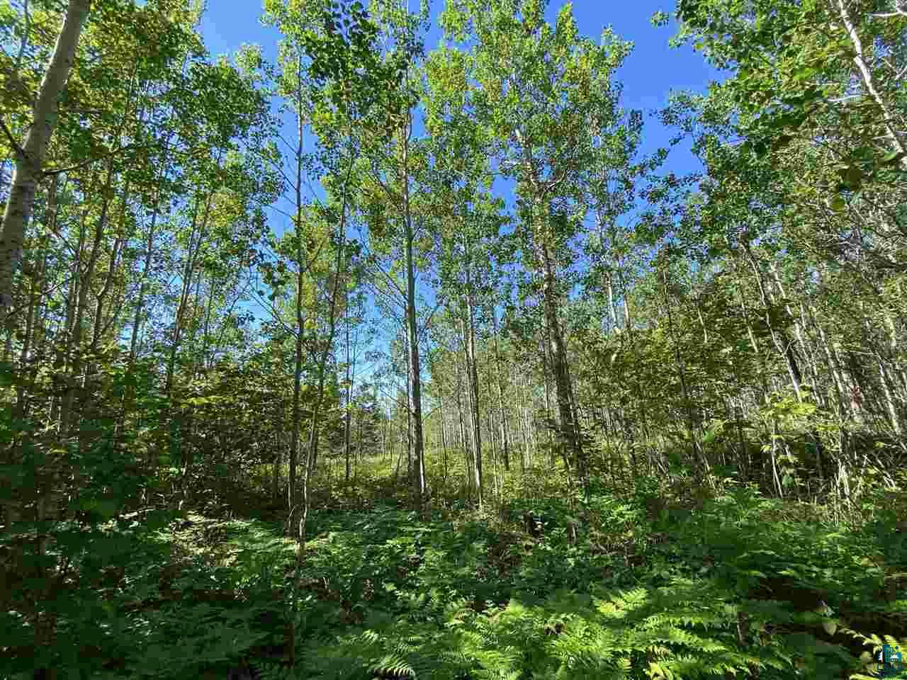 17 Coyote Ridge Grand Marais, MN 55604 - Photo 11 of 25